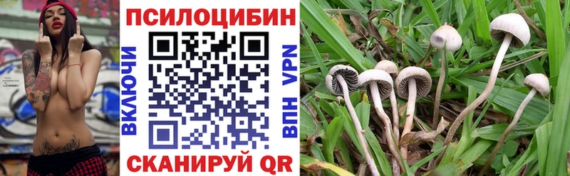 Псилоцибиновые грибы Magic Shrooms  Зеленодольск 